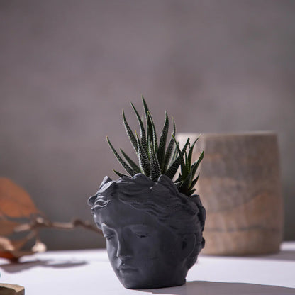 Abbott-Dark Concrete-Face shaped Planter- Greek Goddess head