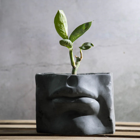 Thedecorshop Lip-Shaped Vase and Planter, suitable for both indoors and outdoors