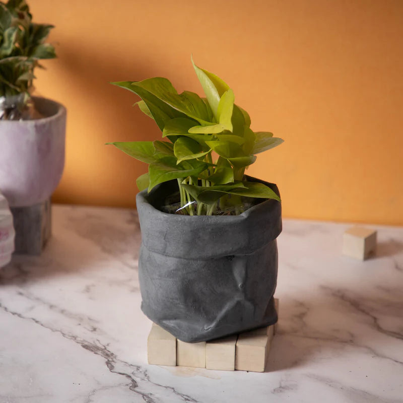 Burlap- Dark Concrete Burlap Sack-inspired planter for both indoor and outdoor plants