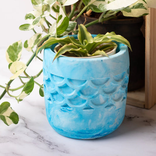 Thedecorshop Camber Planter Candy Marble - Designer Planter for Succulents or Small Size plants