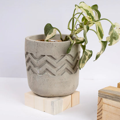 Chevron Pattern Designer Succulent Planter for Home And Office Décor