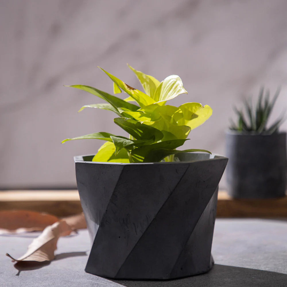 TheDecorshop Dyoct-Dark Concrete-Octagonal Faceted Modern Planter