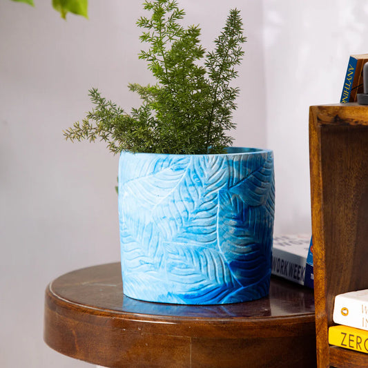 Frond-Cloud-Leaf Imprint Planter, features an Embossed Leaves texture