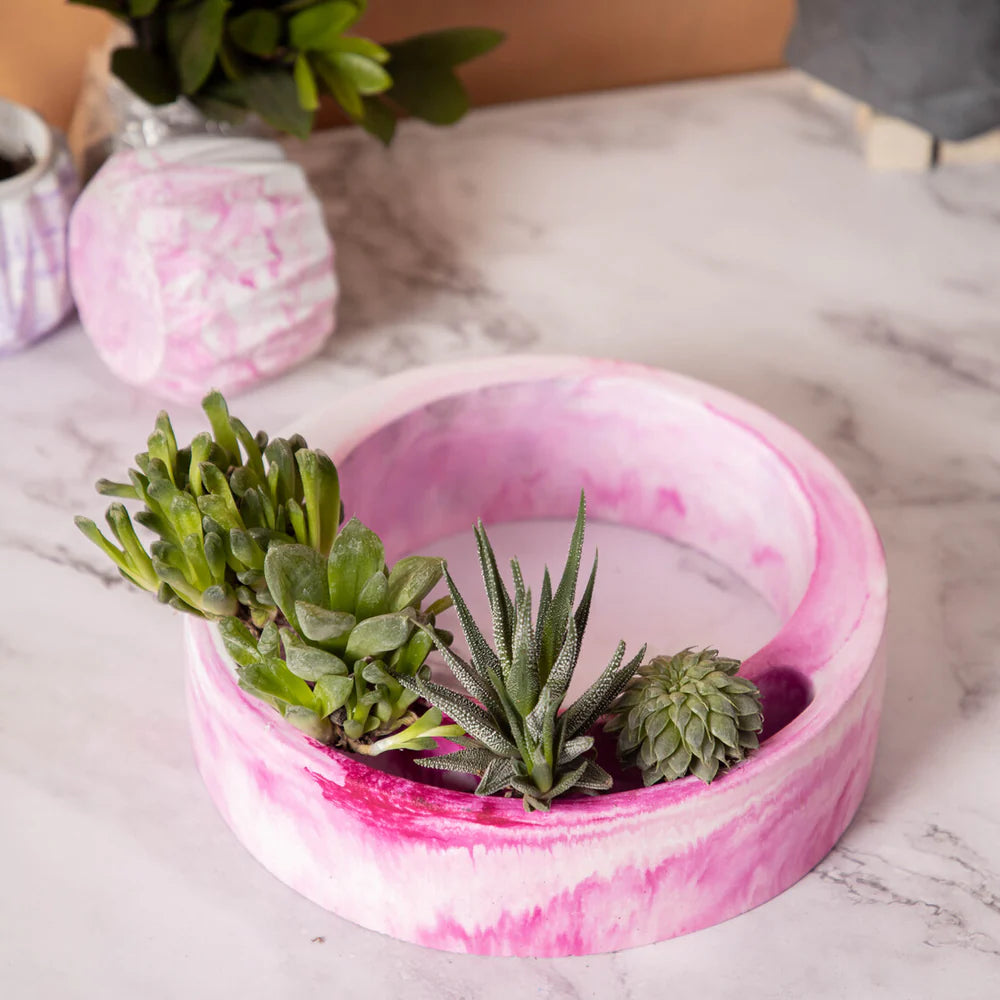 Halo-Cloud-Circular, Moon Shaped Succulent Planter for beautifying your garden spaces