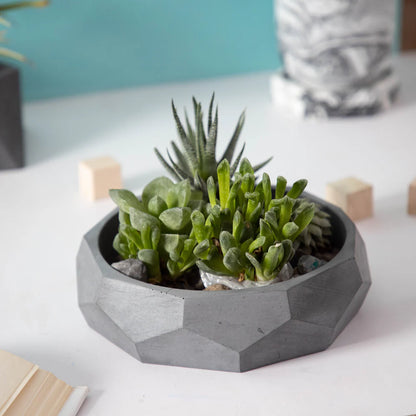 Nonagon Bowl-Mint Marble-All-purpose Homeware- Fruit bowl and Plant bowl