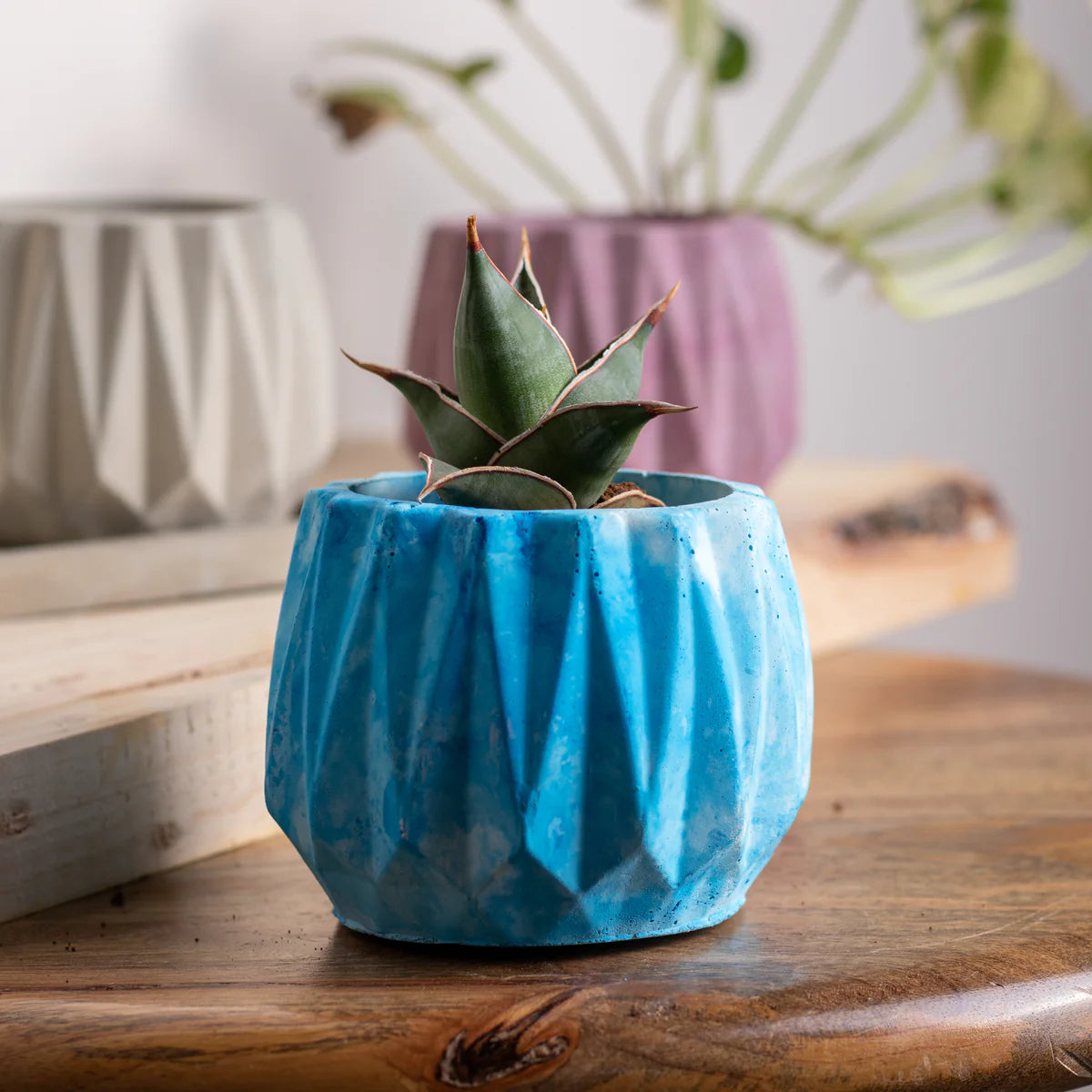 Onca Cloud - Geometric Succulent Planter for Table top Decor, Window sill or Ledge for Home & Office