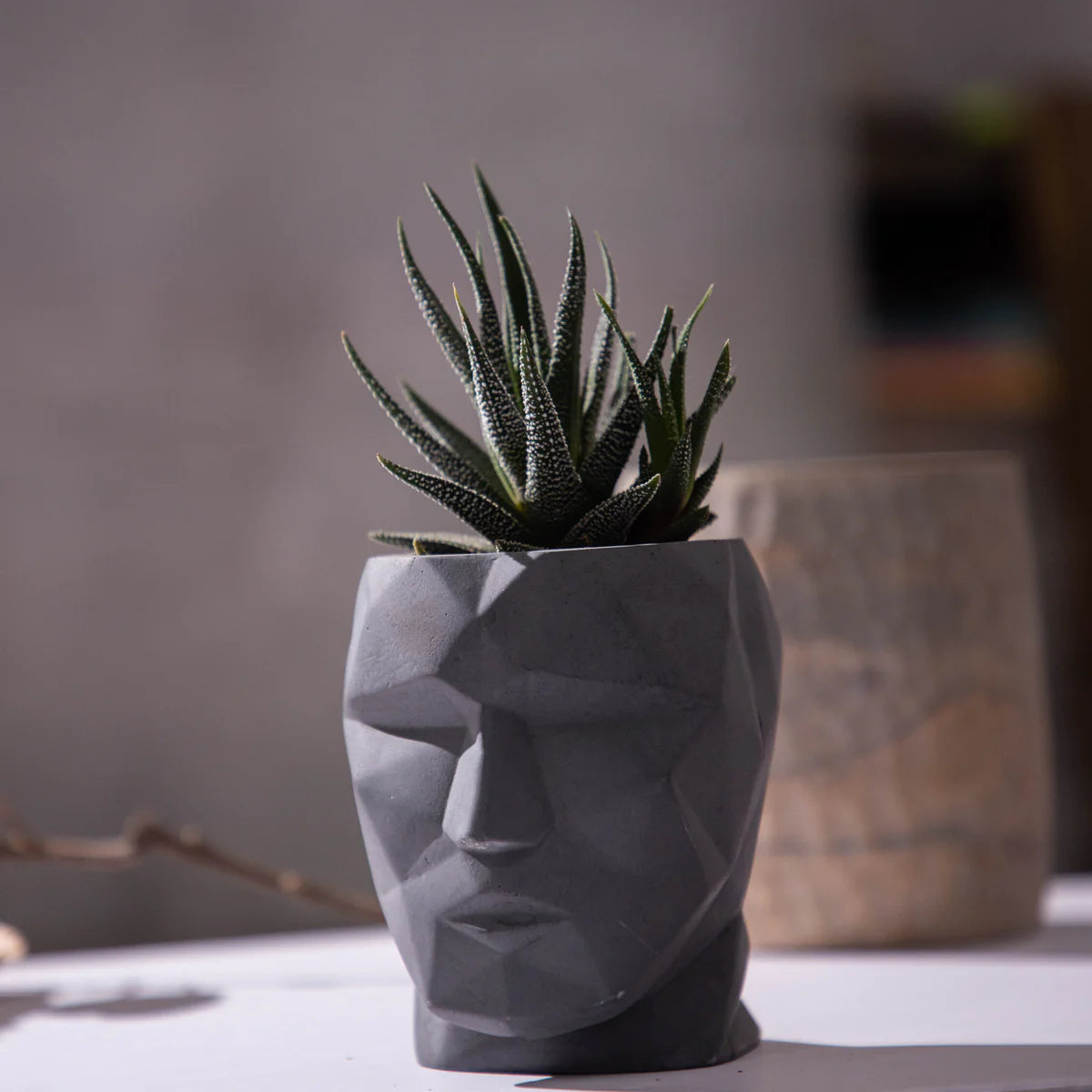 Skull-n-vogue- Dark Concrete Head shaped pot, ideal for both indoor and outdoor plants